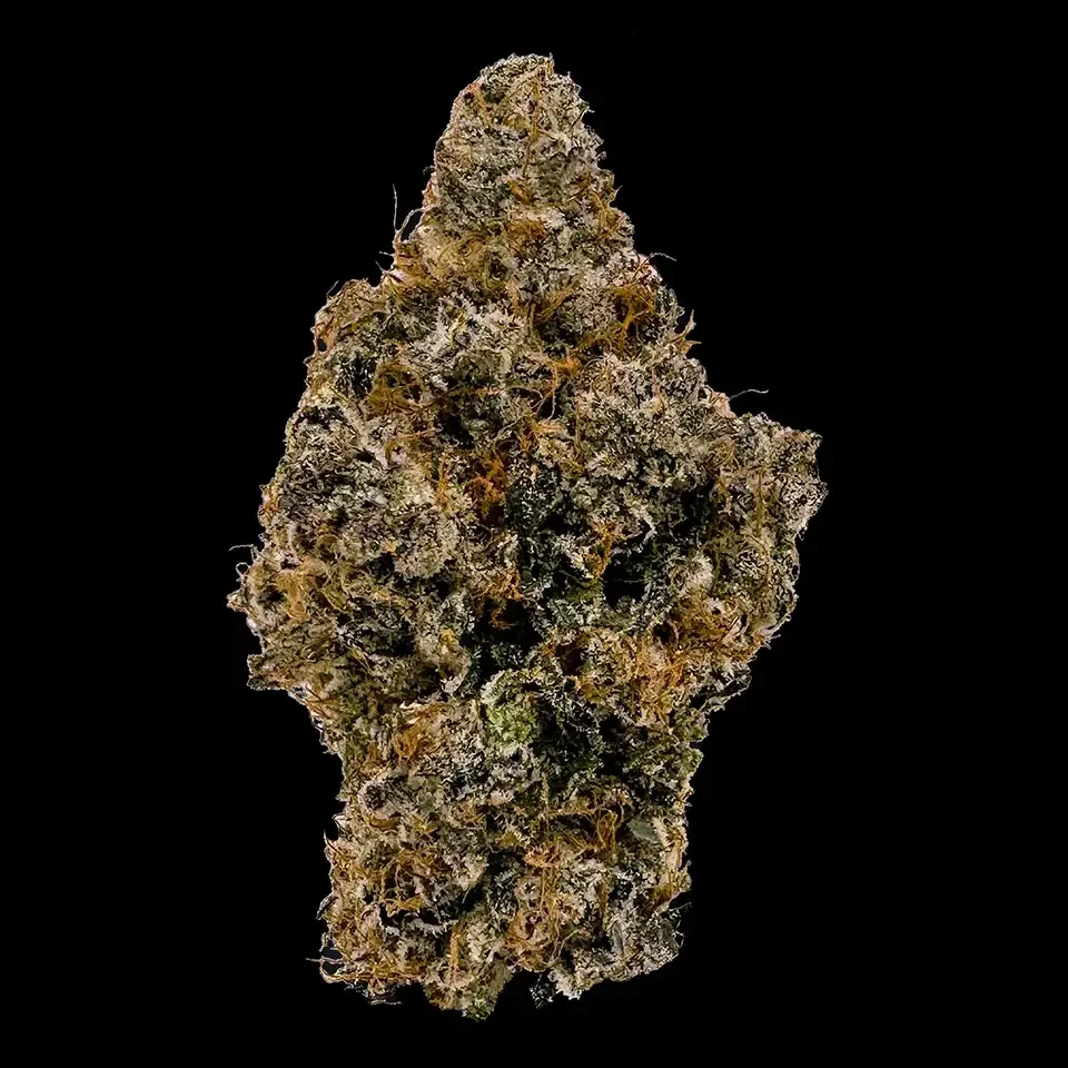 Cookies Strains Blue Agave