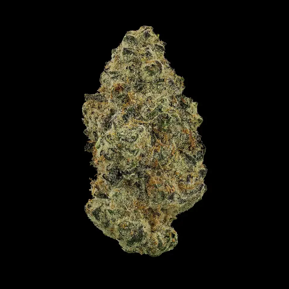 Cookies Strains Powder Sugar