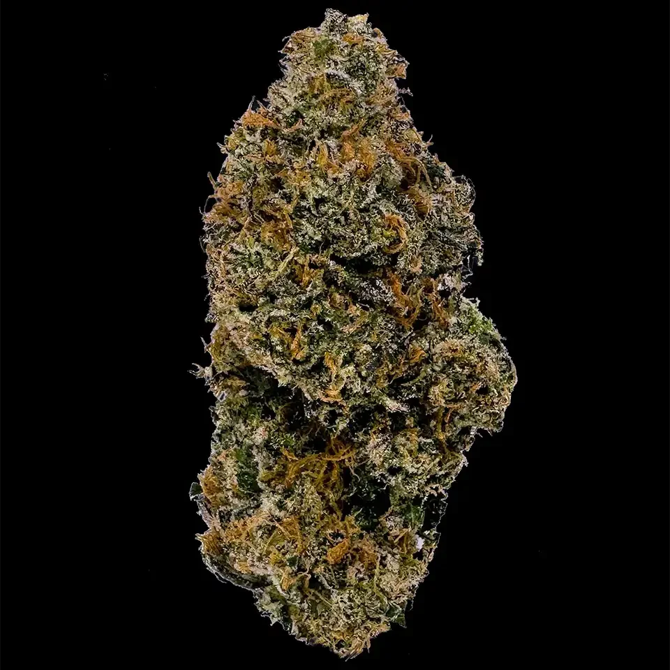 Cookies Strains Triple Scoop